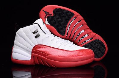 Air Jordan 12-246